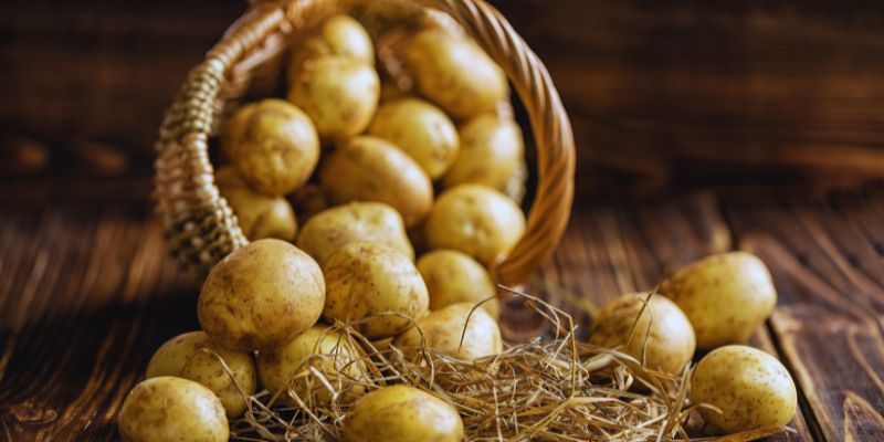 Are Potatoes Good For People With Diabetes: A Complete Understanding 