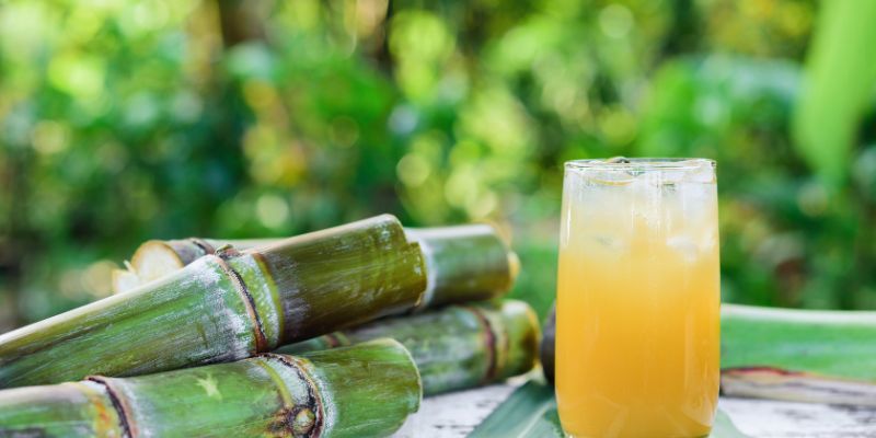 Is Sugarcane Juice Good Or Bad For Diabetes: A Complete Understanding 