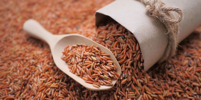 Diabetes and Brown Rice: Benefits, Risks, and Everything You Should Know 