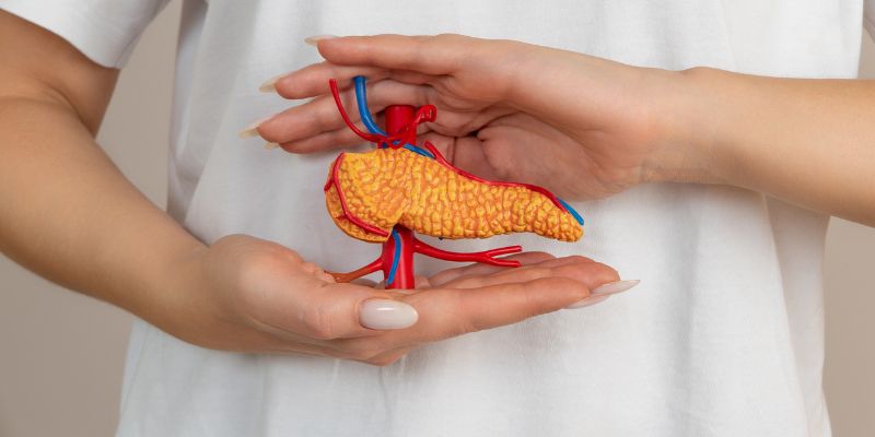 Is Diabetes Considered an Endocrine Disorder: A Complete Understanding 